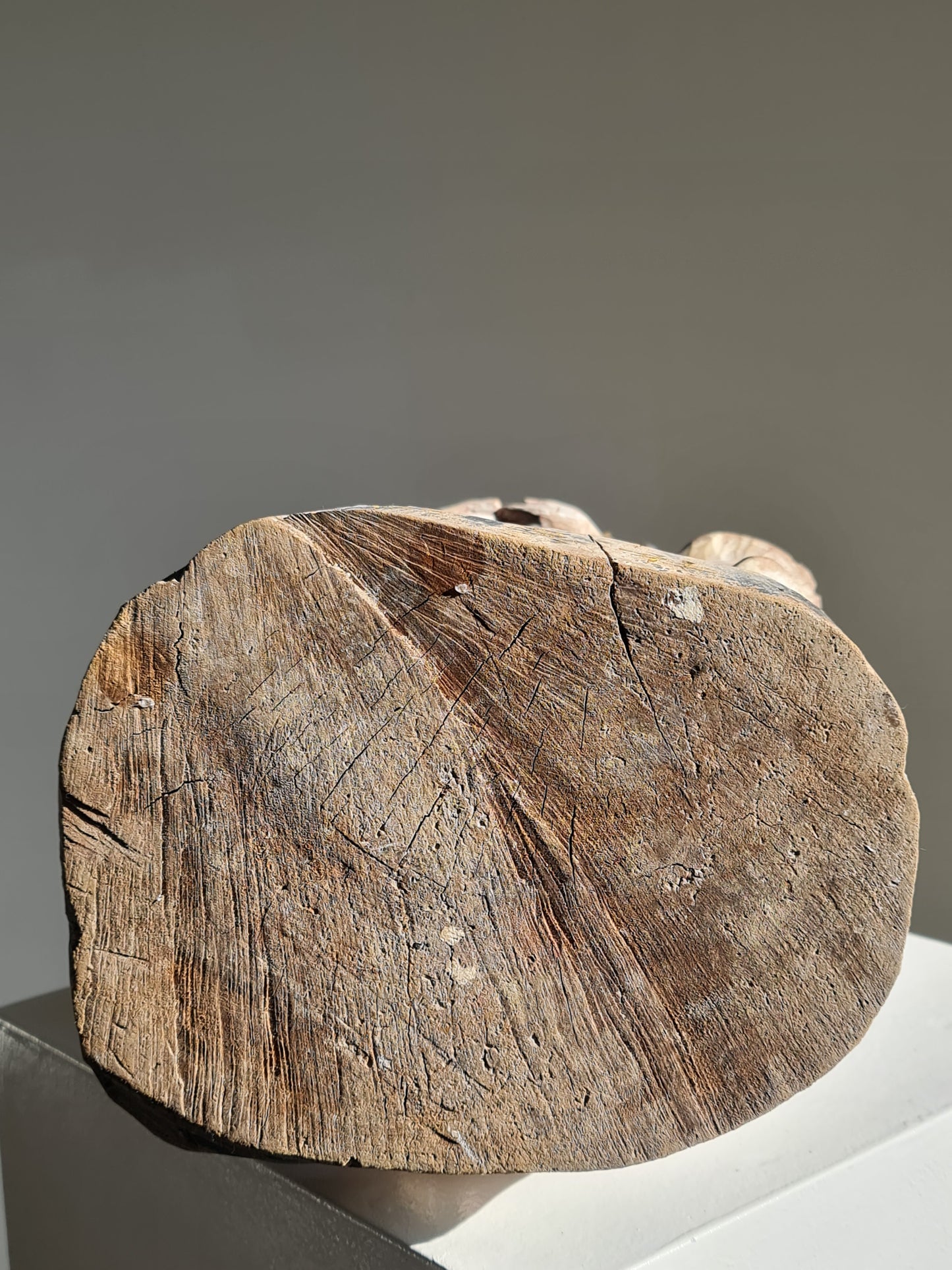 A Chinese polychrome wood temple guardian, marked “Zhōnghào Shè” (忠昊社), late 18/19th century