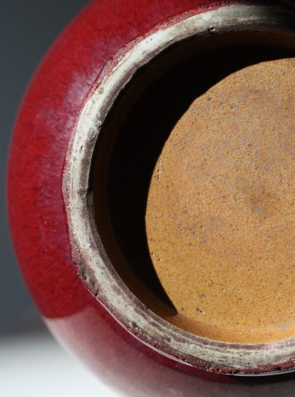 A Chinese large Garlic neck vase Coral red glaze , early 19th century - Afbeelding 4